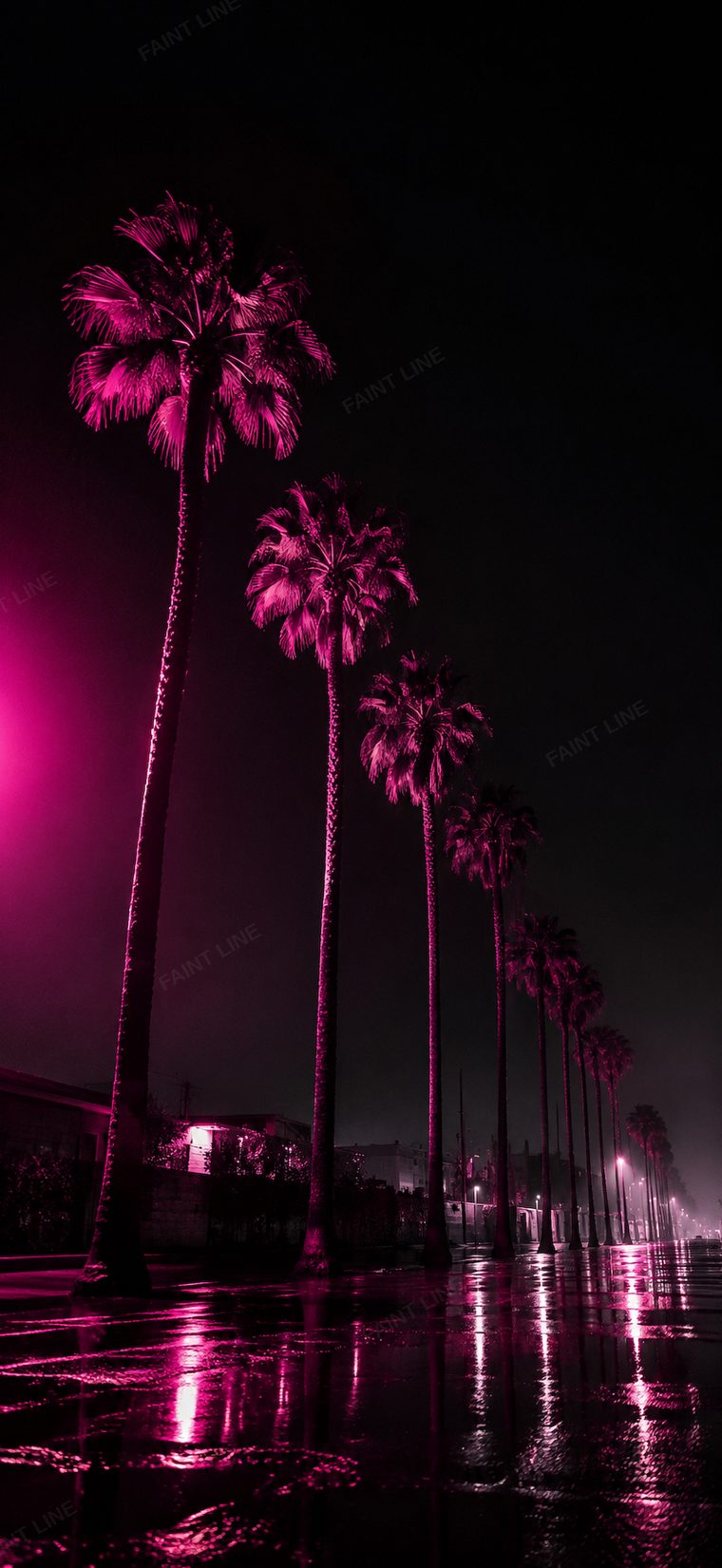 West Coast Night